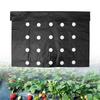With Holes Planting Plastic Mulch Film Thermostatic Grow Film New Mulch Film  for Eggplant Planting