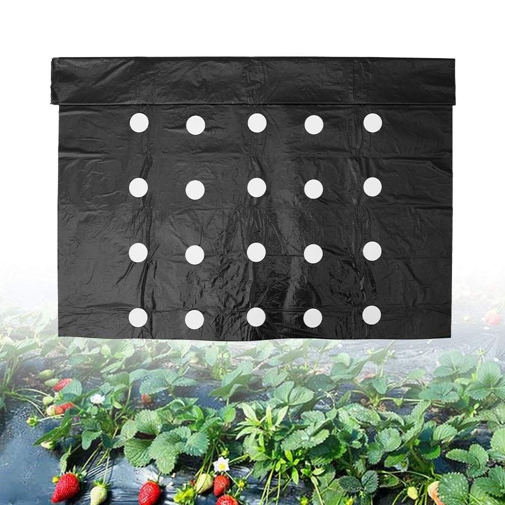 With Holes Planting Plastic Mulch Film Thermostatic Grow Film New Mulch Film for Eggplant Planting
