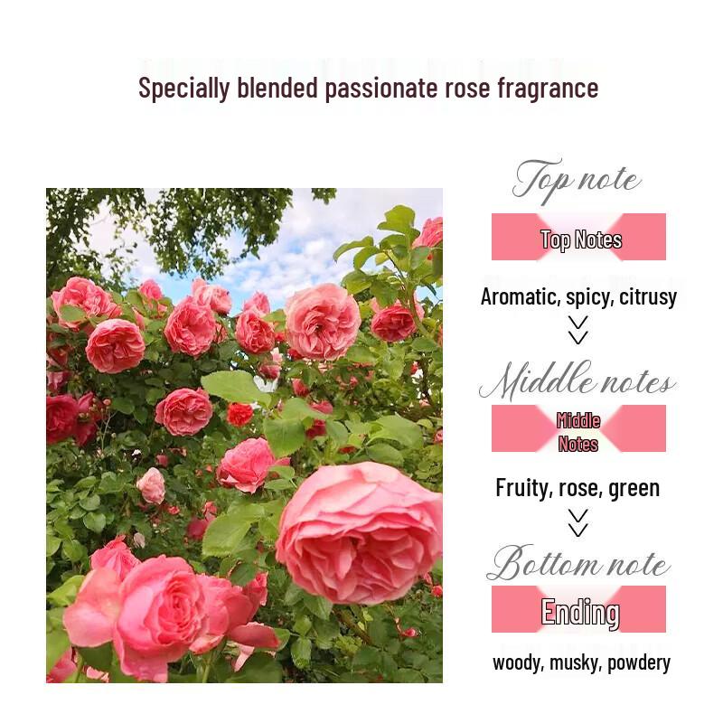 Mislili Floral Fragrance Body Lotion