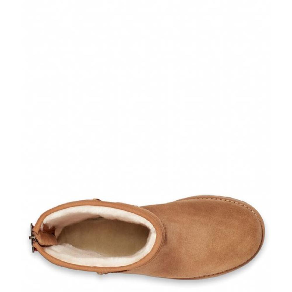 Boots UGG Chesnut Classic Short
