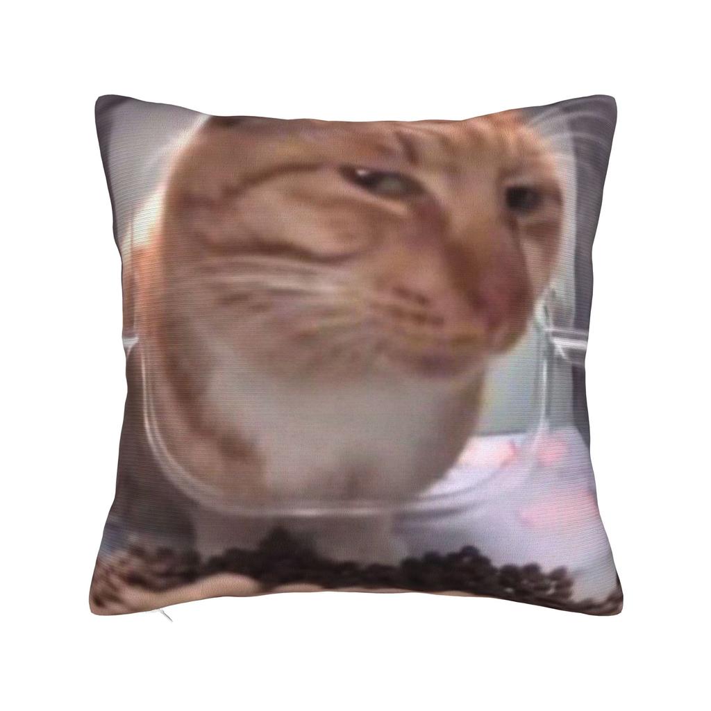 Home Decor Meowl Cat Owl Meme Pillowcase Accessories  Pillow Cover Square Multi-Size