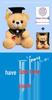Graduation Gift Bear for Students: Doctoral, Master's, University, Kindergarten