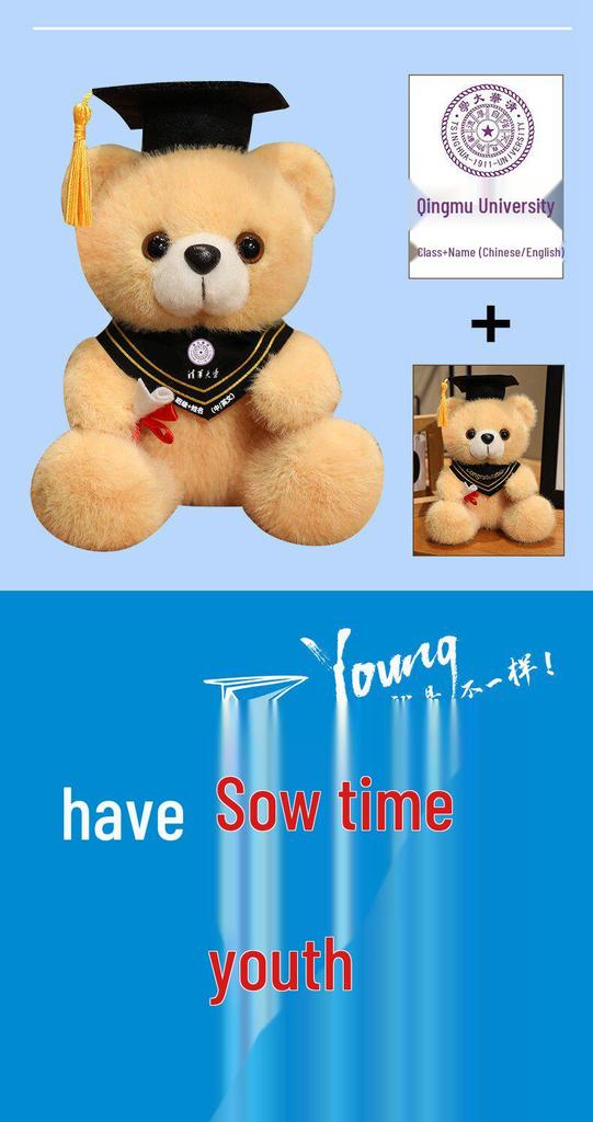 Graduation Gift Bear for Students: Doctoral, Master's, University, Kindergarten