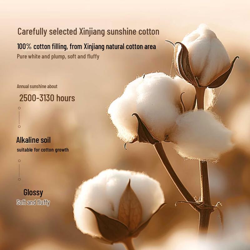 Muji 100% Xinjiang Cotton Quilt