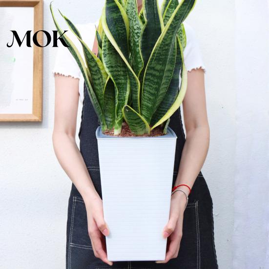 Easy Access Plant Pot Self-Watering with Drainage Holes Automatic Watering Weather-resistant Planter Flowerpot Water Storage for Indoor Outdoor Plants