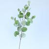 1/3pcsArtificial Plant Long Stems Eucalyptus Leaf Leaves Plants Money Leaf Decor Wedding Shooting Prop Home vase table Diy Decor