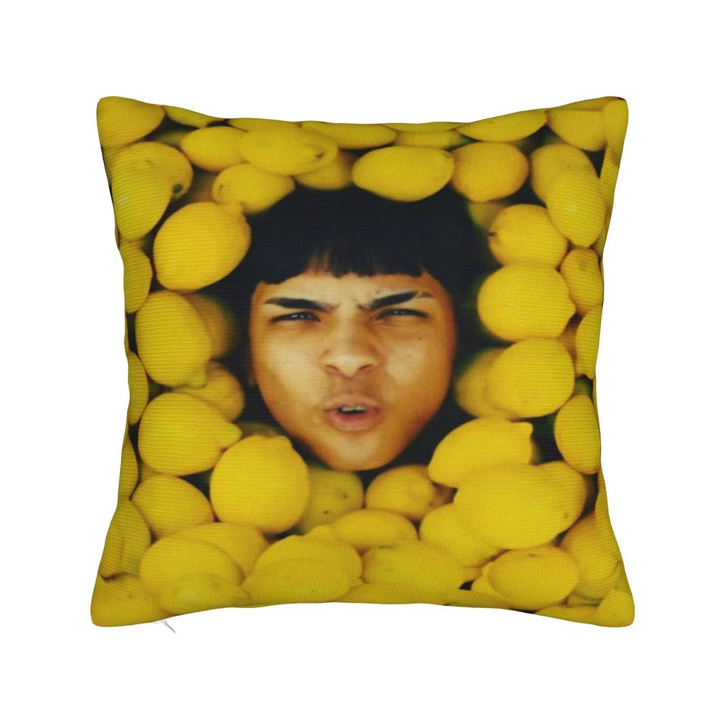 Trendy Home Milo j Decor Pillowcase Accessories  Pillow Covers Square Multiple Sizes