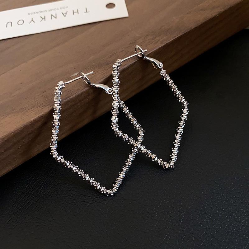 High-End Light Luxury Cold-Style Metal Hoop Earrings
