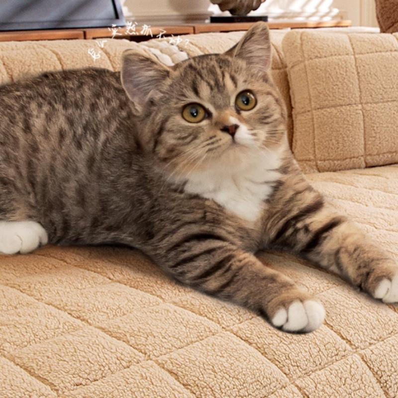 1PC Warm Plaid Sofa Mat Cover Non-slip L Corner Couch Slipcover Cat Anti-scratch Pets Kids Sofa Pads for Living Room Home Decor