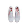 Nike Air Zoom Pegasus 39 'Platinum Tint Light Crimson' Men's DH4071-009