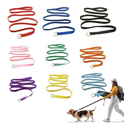 Strapazierfähige Hunde Nylon Schlupfseil Leine, Starke Haustier Schlupfleine, Verstellbarer Haustier Schlaufenknoten Halsumfang für Training Spiel Camping