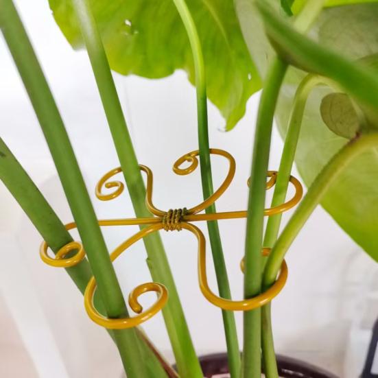 2Pcs Plant Stem Support Holder Heavy Duty Metal Indoor Outdoor Monstera Plant