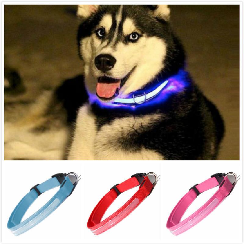 Adjustable Size Usb Rechargeable Led Pet Collar For Cats And Dogs Nylon Material