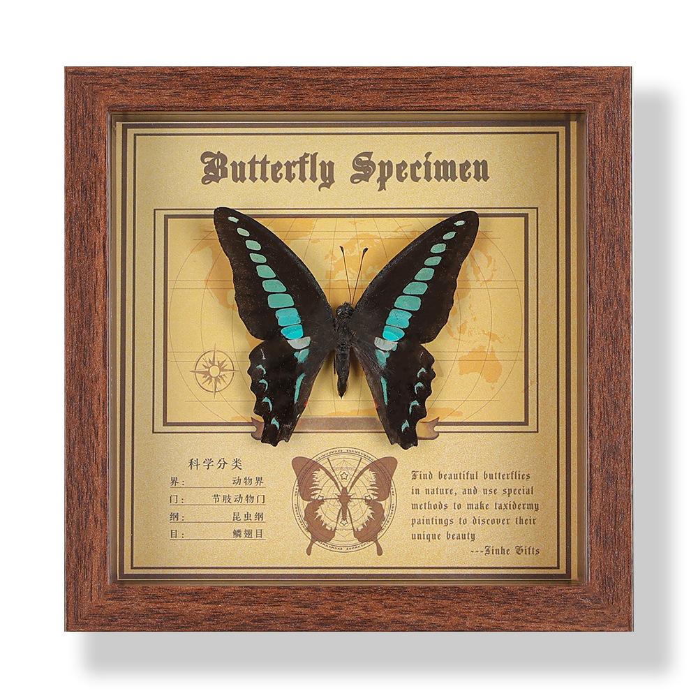 Real butterfly specimen photo frame, decorative painting, 3D ornament, handmade DIY, birthday gift, insect specimen