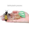 1 Box Biology Discovery Toy Realistic Frog Bee Panda Chick Butterfly Fish Plant Animal Life Cycle Learning Creative Toddler