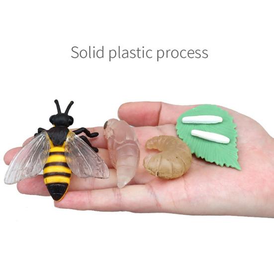 1 Box Biology Discovery Toy Realistic Frog Bee Panda Chick Butterfly Fish Plant Animal Life Cycle Learning Creative Toddler