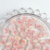 Hot-Selling Floral Color Nail Art Kit Luminous Resin Spring Fresh Nail Art Accessories