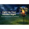 Lovely Solars Frogs Ornament With Feeding Tray Ground Spikes Light Lovely Solars Frogs Bird Feeders For Backyard