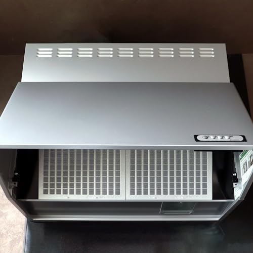 Genuine Fuji Industrial Value Filter (2-Pack) for Kitchen Range Hoods and Ventilation Fans (RVRF10-3421-2) - Ideal for Switching from Ecosia.