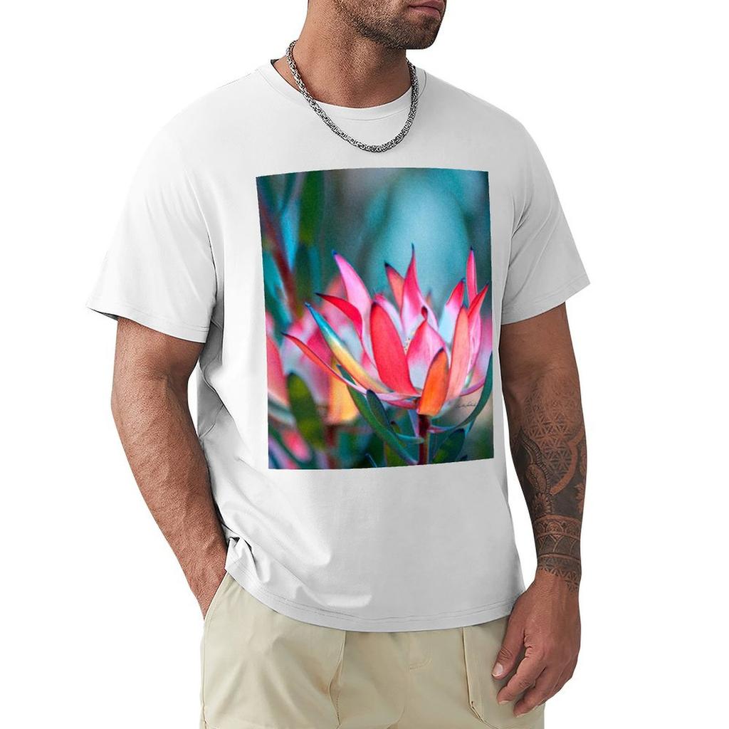 Painting My Wild Garden Tshirt Plus Size Outdoor Casual Top