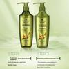Schwarzkopf Ginger Essence Oil Control & Repair Shampoo