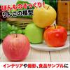 TKY Food Sample Set of Fake Fruit for Interior and More Apples, 5, (Realistic), Display, Decoration, Model, Drawing,