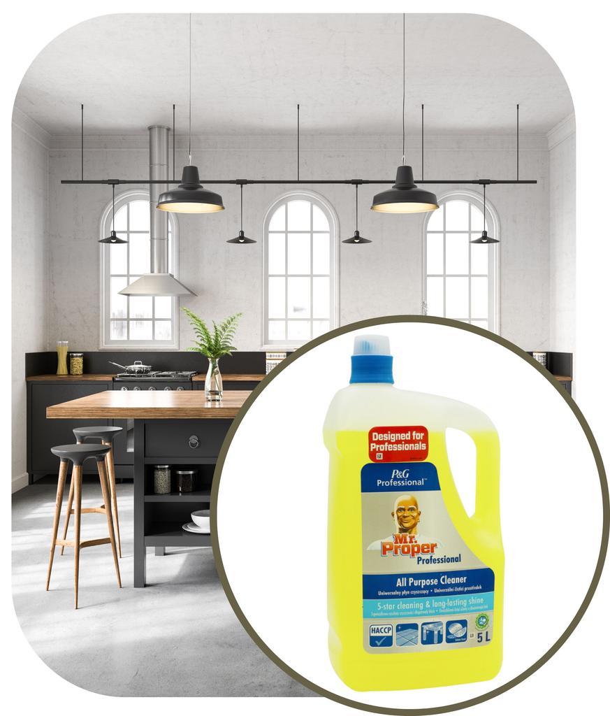 Mr Proper Universal Lemon Cleaning Liquid 5L
