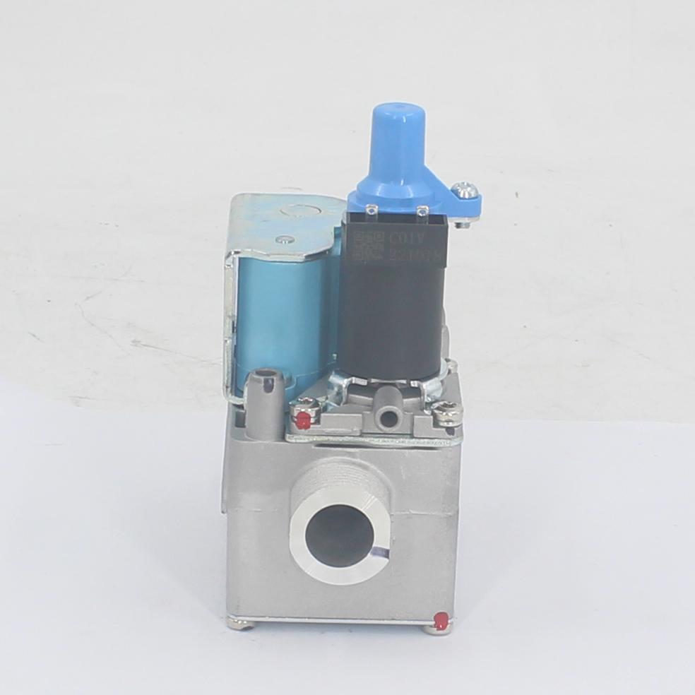 Boiler parts ERCO EBR2008N010301 24VDC Gas valve of the boiler Gas Water Heater Parts