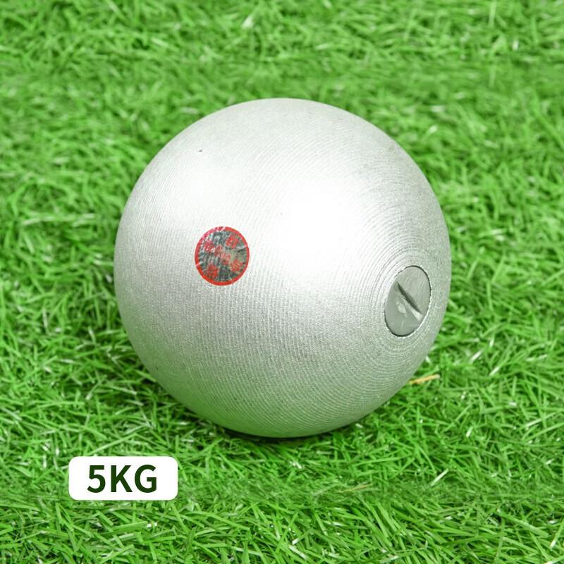 WEZHO Professional Athletics Competition Lead Shot