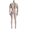 Original Adonis Male Muscle Body Super White Skin Tone 1/6 Dolls Yoga Joints Movable 32cm Male Scale Mannequin Limited Collect