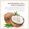 Coconut Lip Balm Natural Moisturizing Treatment for Dry Lips with Vitamin E Hydrating Nourishing Lip Care 2.7g