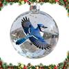 DIY Nature's BirdsOrnament Ornament Gift Acrylic Christmas Supplies  Christmas