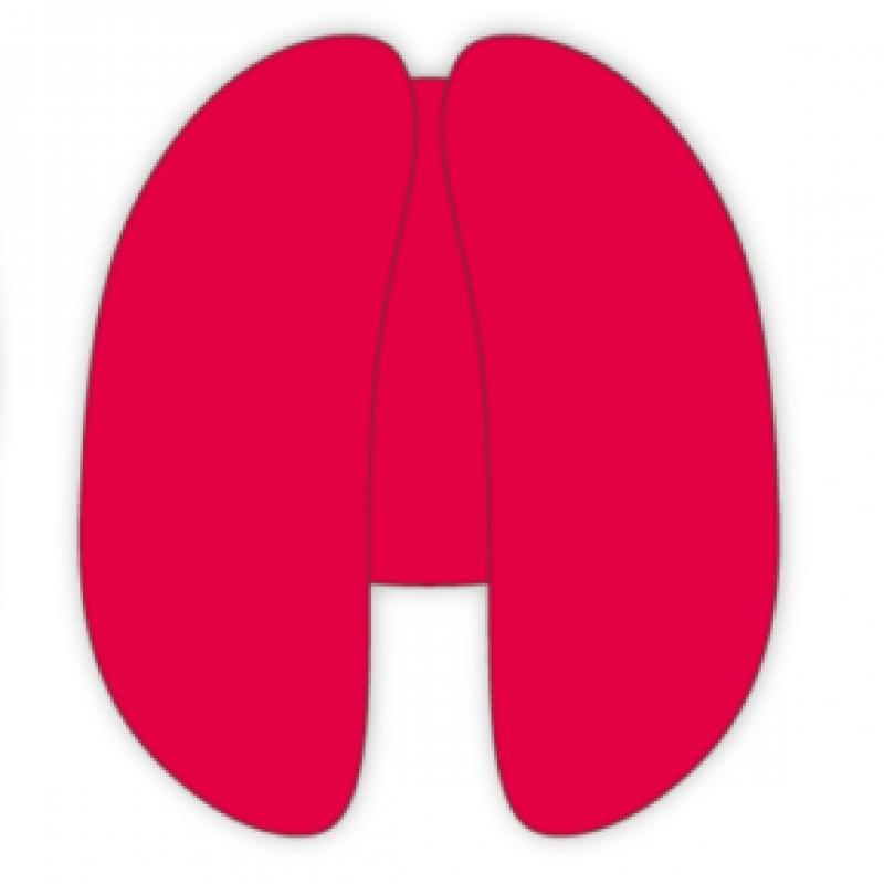 Yuqi   Gigi Cushion   1st Single Album Pop Up Md