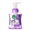 Antibacterial Foaming Hand Wash, Orchid Scent (3 X 250ml)