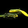 5pcs Simulated Giant Salamander Floating Lures Green Lizard Silicone Bait Swimbait Artificial Bait Fishing Accessories