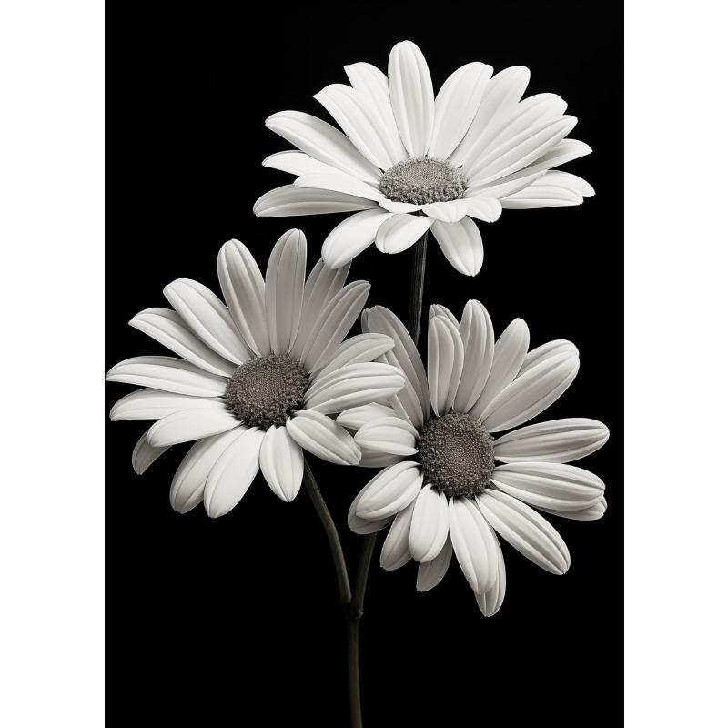 Modern Black and White Flower Posters Abstract Canvas Painting Print Pictures Wall Art Poster Home Living Room Decor Frameless