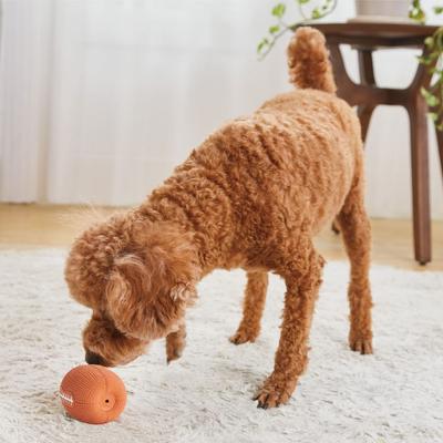 Petio Dog Toy Cão Silencioso Bola de Rugby de Látex