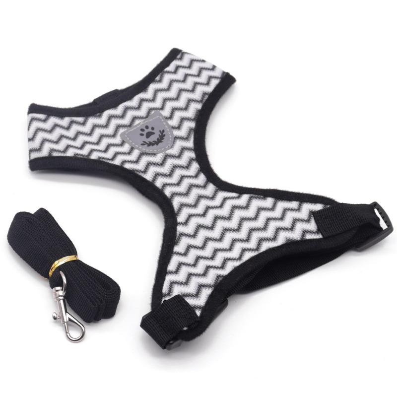 Back and Chest Harness Set for Pet Dogs - Leash for Taking Dogs Out for Walks - Cat Leash - Small Dog Breathable Walking Rope