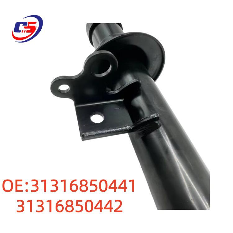 Front Shock Absorber Assembly for BMW 5 Series F18 (31316850442, 31316850441)