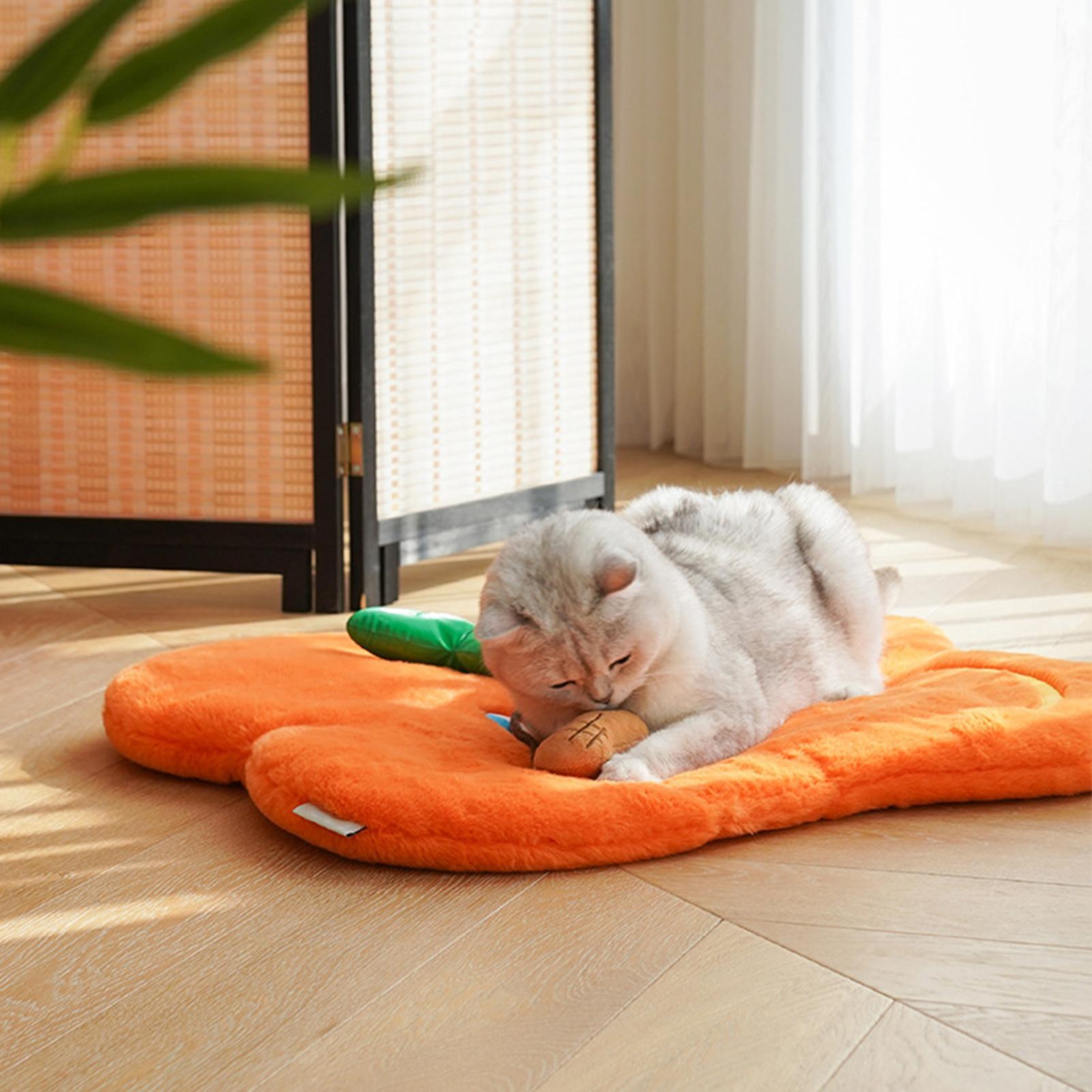 

Cat Bed Mats Orange Small Dog Floor Blanket Washable Pet Bed For Indoor Relaxation Apartment Living Room Kitchen Home Daily Rest China Mainland