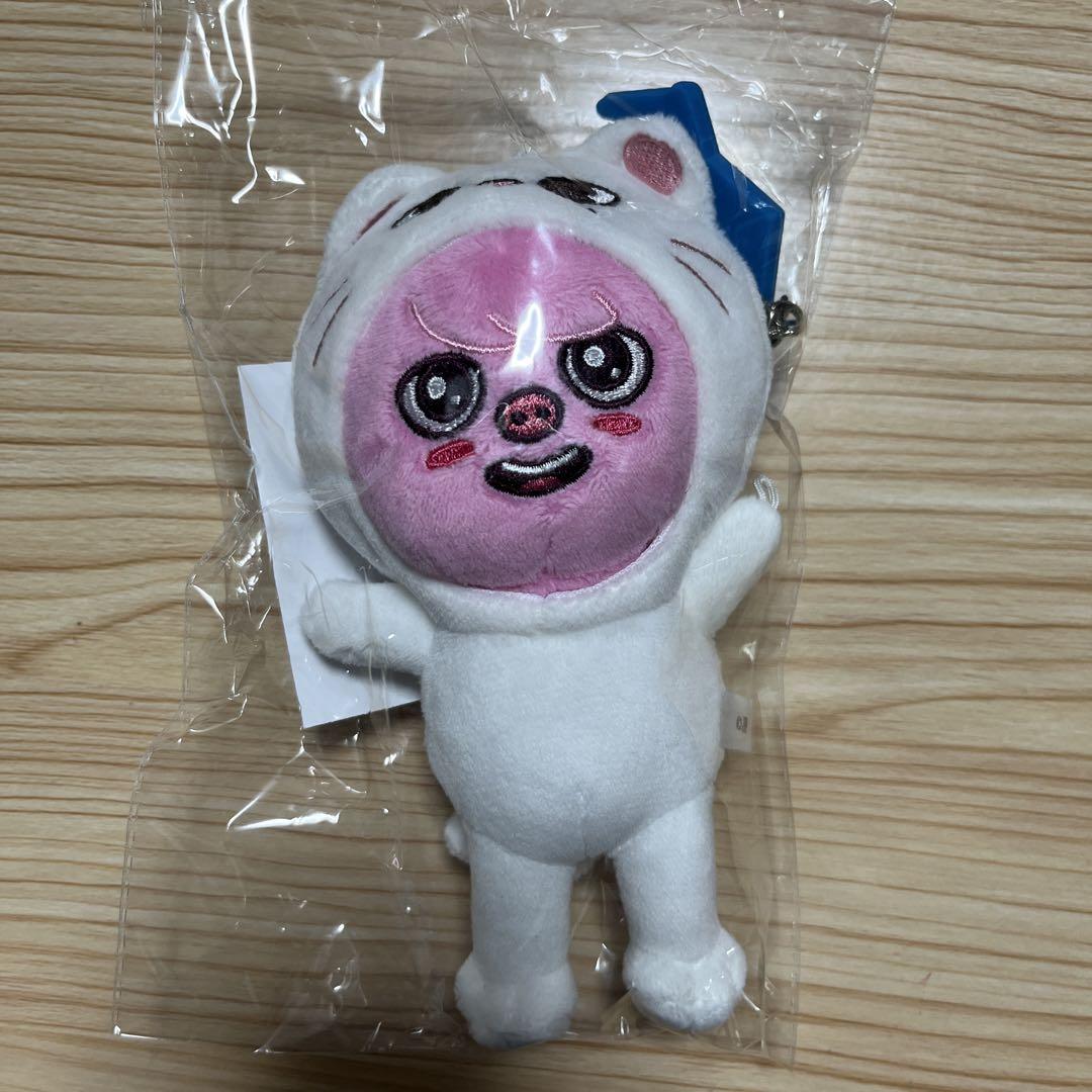 

[Б/У] StrayKids Чанбин DWAEKKI Брелок-подвеска Игрушка Мир