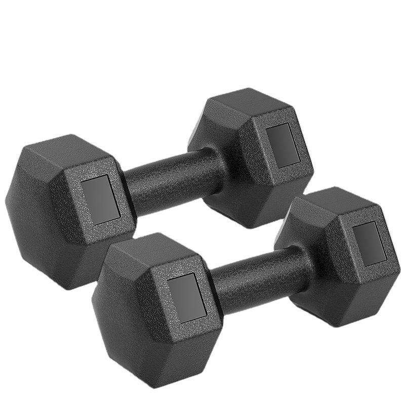Hexagonal Eco-Friendly Dumbbell Pair for Men's and Women's Home Fitness