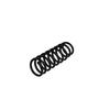 Ft01913 Fast Rear Suspension Spring