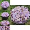 Natural Rough 100g Amethyst Gravel Stone Quartz Crystal Gemstone Decor Home