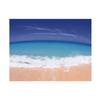 Ropical Beach Backdrop Banner,Wall Decor for Summer Parties,Events,Photo Shoot Backdrop,Beach Theme Decor,Weddings