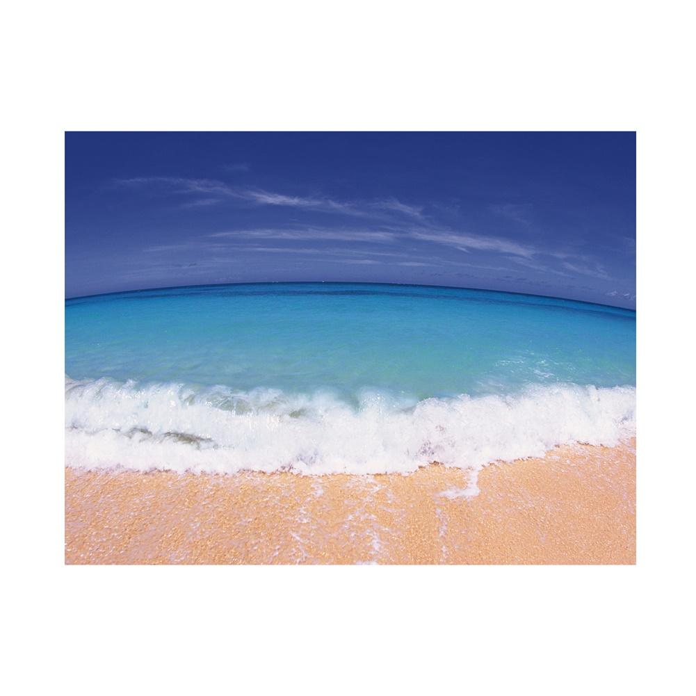 Ropical Beach Backdrop Banner,Wall Decor for Summer Parties,Events,Photo Shoot Backdrop,Beach Theme Decor,Weddings