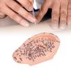 6.7in Ear Acupuncture Model Silicone Engraving Ear Massage Acupuncture Model for Home Laboratory