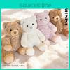 Knuffelbeer, zittend, schattig dier, leuk cadeau voor kinderen.