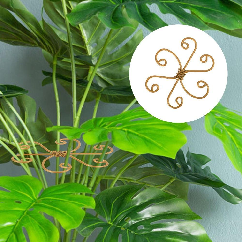 Iron Plant Stem Support Heart Shape Indoor Plants Climbing Rack Hook  Indoor Outdoor Plants