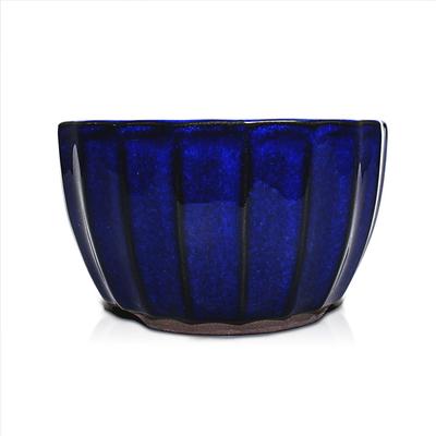 Umekichi Bonsai Kleiner Bonsai Blaue Seegurke Seto-Keramik Geeignet für Kompakte Vorräte, 4-Zoll Chrysanthemenförmiger Topf, Glasur, Keramik, Rund,